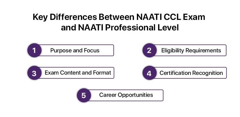 Key Differences Between NAATI CCL Exam and NAATI Professional Level